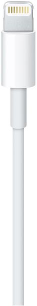 Apple Lightning - USB MD819ZM/A 2 м