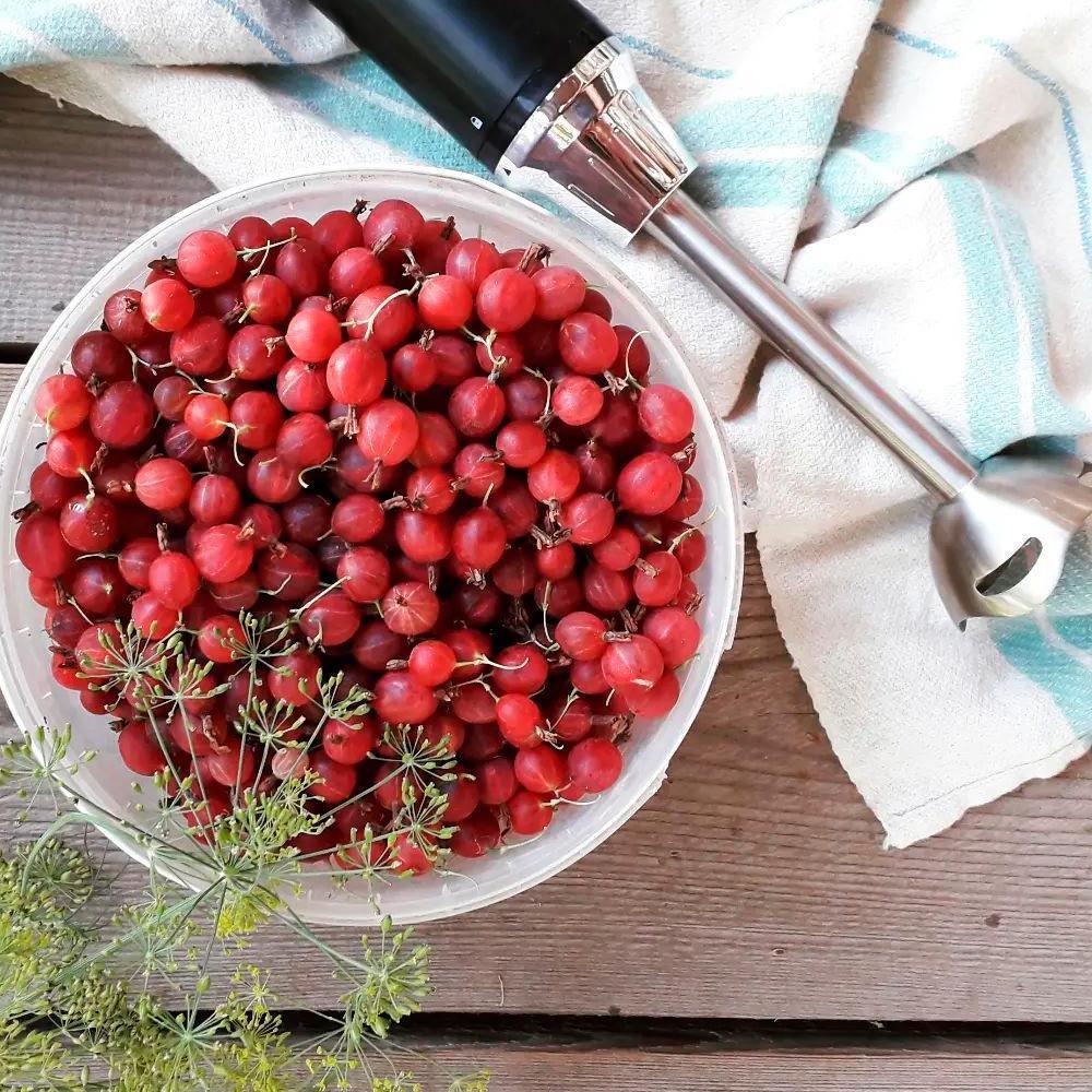 Блендер погружной Kitfort KT-3084-3 красный