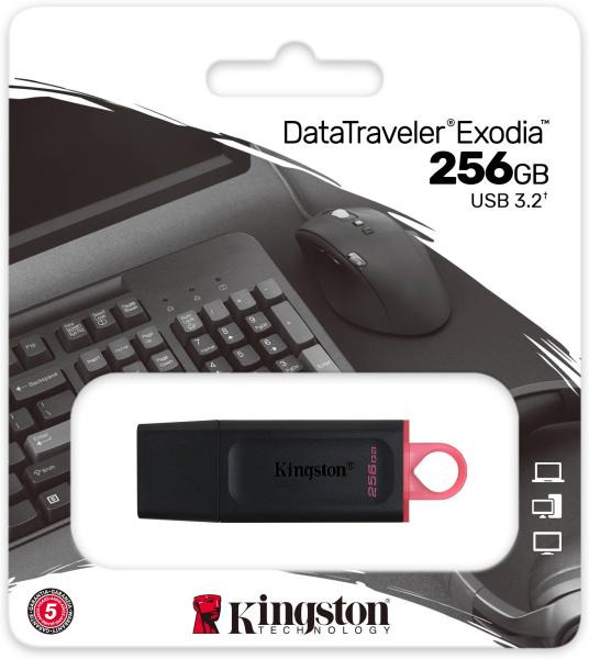 USB Flash карта Kingston DTX/256GB, 256Gb, черная